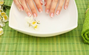 Sed blandit massa vel